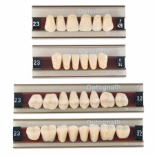 Kulzer OPTODENT / Optognath Acrylic Teeth (3 Layer) - 1 Set - PLEASE SEE NOTES IN DESCRIPTION TAB - END OF LIFE - NOW 76% FINAL CLEARENCE - CRAZY ONLY $3.00 each Kulzer OPTODENT / Optognath Acrylic Teeth (3 Layer) - 1 Set - PLEASE SEE NOTES IN DESCRIPTION TAB - END OF LIFE - NOW 76% FINAL CLEARENCE - CRAZY ONLY $3.00 each